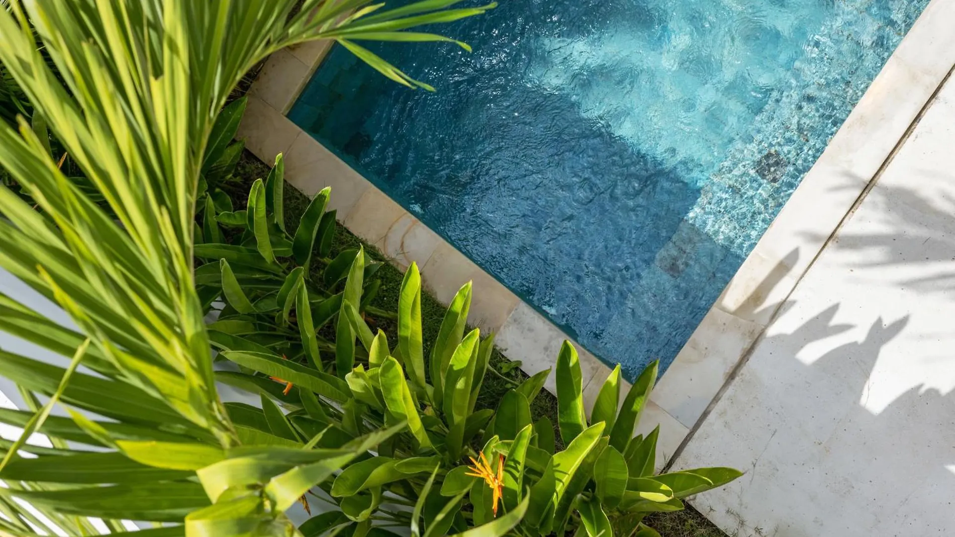 White Residence - Art & Boutique Villas Seminyak  4*, Seminyak (Bali) Indonesia